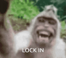 a blurred image of a gorilla with the words lock in written below it