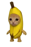 a cat dressed as a banana with arms and legs standing on a white background