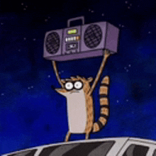 a raccoon is holding a boombox over his head .