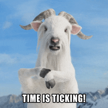 a picture of a goat with the words " time is ticking " below it