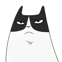 a black and white cat with an angry look on its face
