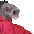 a pixelated image of a dog wearing a red jacket