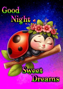 a ladybug is sleeping on a tree branch with the words good night sweet dreams below it