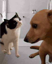 a black and white cat and a brown dog are looking at each other