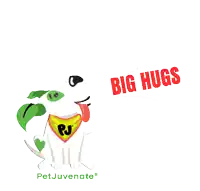 a cartoon dog wearing a bandana with the letter pj on it