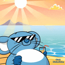 a cartoon of a mouse wearing sunglasses and holding a drink with the words chill chinchilla written below it