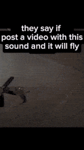 a cat is flying through the air with the words they say if post a video with this sound and it will fly
