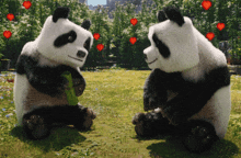 two panda bears sitting next to each other in a field