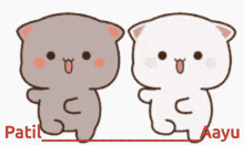 a picture of two cats with the names patil and aayu on the bottom