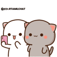 a couple of cartoon cats standing next to each other with a heart in the middle